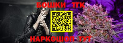 индика Лесосибирск