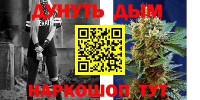 индика Лесосибирск
