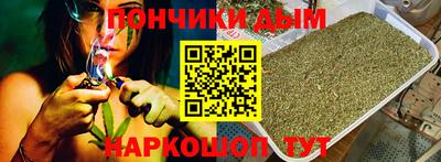 индика Лесосибирск