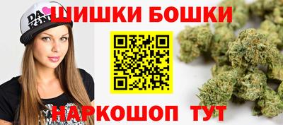 индика Лесосибирск