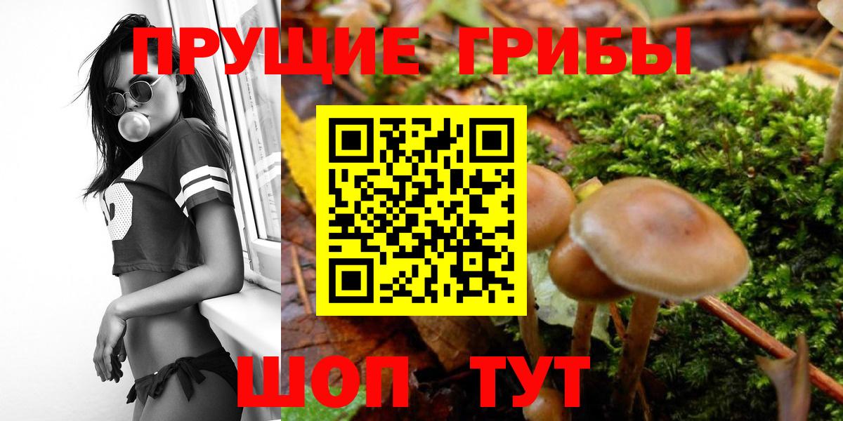 Курск  Псилоцибиновые грибы MAGIC MUSHROOMS  Вход с VPN  Галлюциногенные грибы ЛСД 